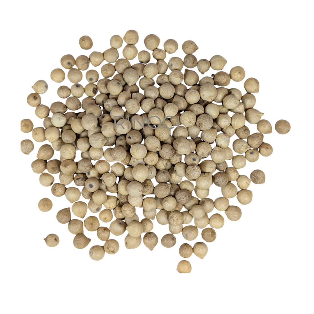 Penja White Peppercorns – IGP Certified Whole White Pepper from Cameroon – Gourmet Spice for Fish, Seafood, White Meats & Vegetables