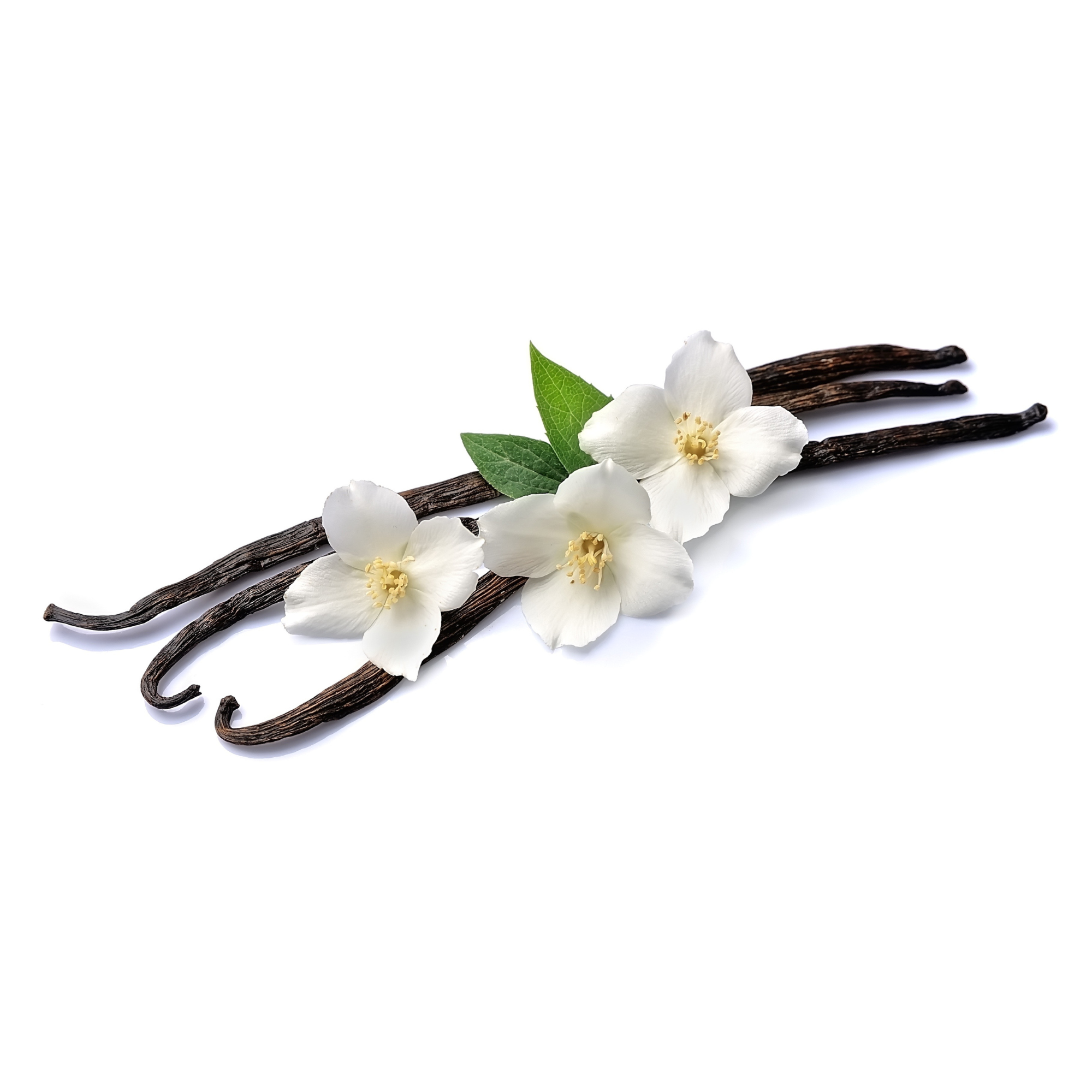 Pure Madagascar Vanilla Pods – Premium Planifolia Grade A Vanilla Beans