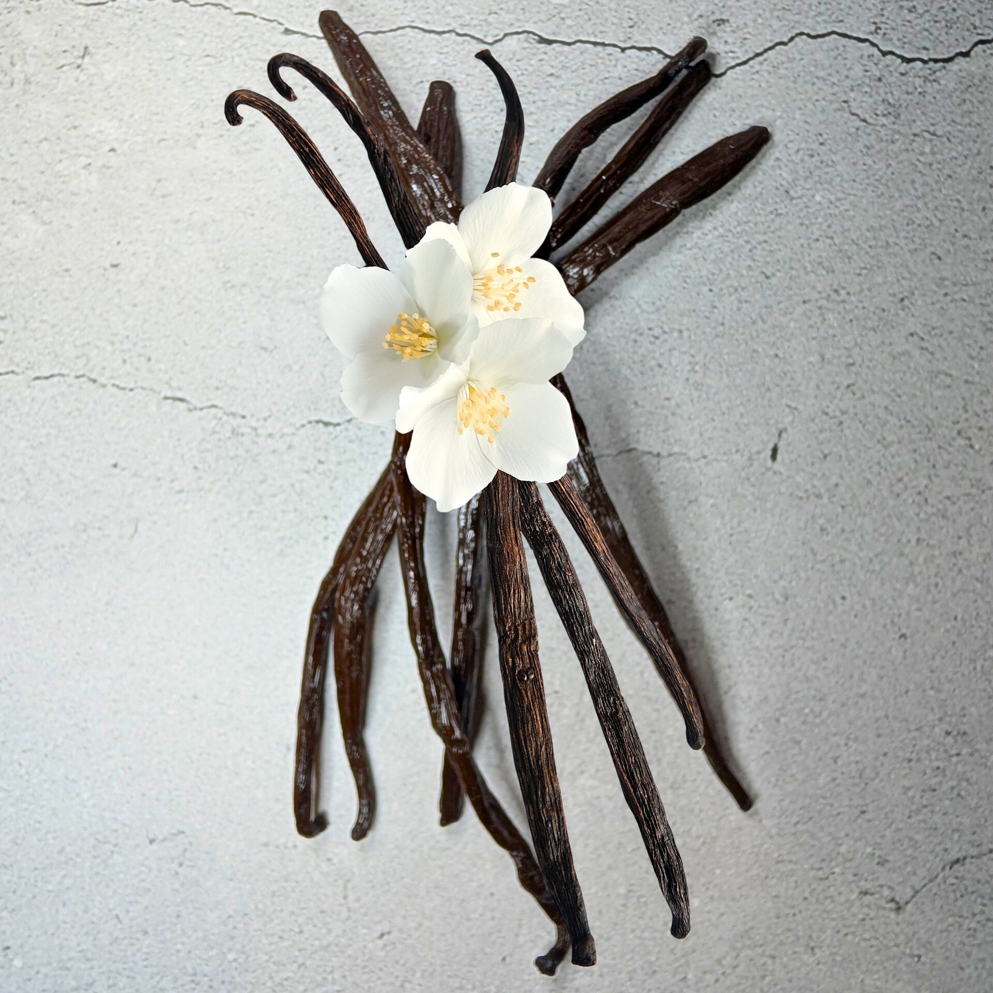 Pure Madagascar Vanilla Pods – Premium Planifolia Grade A Vanilla Beans