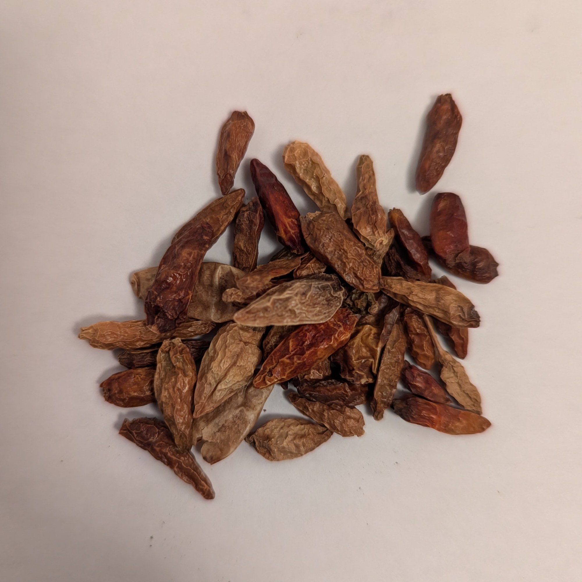 Bird’s Eye Chili – Pili-Pili Cameroon 🌶️🔥 | Intense & Authentic Flavor