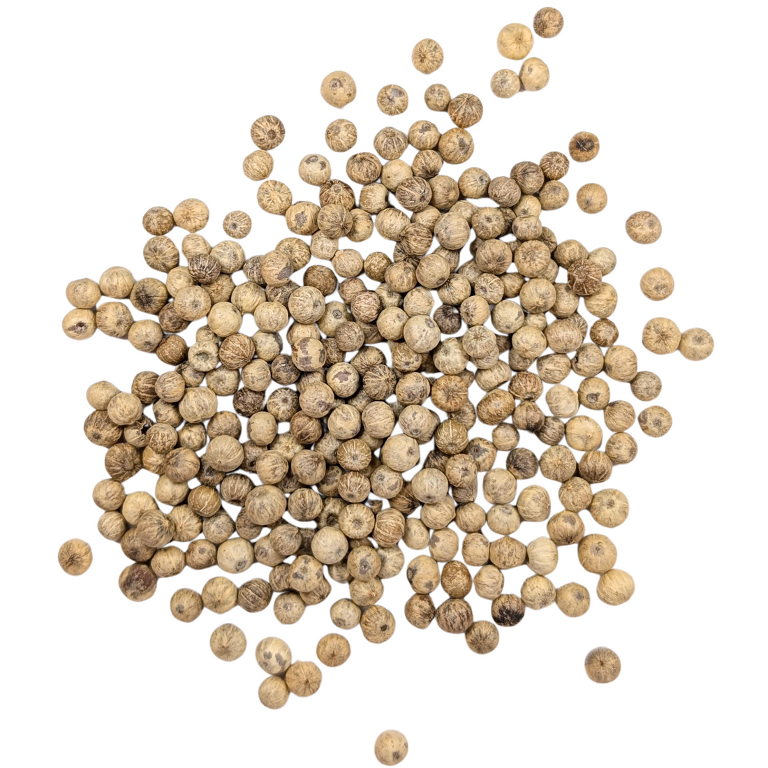 White Pepper from Kampot (Cambodia)