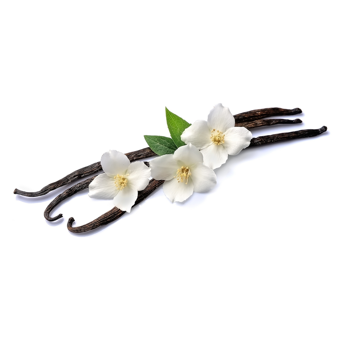 Pure Madagascar Vanilla Pods – Premium Planifolia Grade A Vanilla Beans